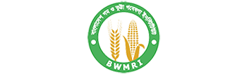 BD Wheat & Maize Research Institute