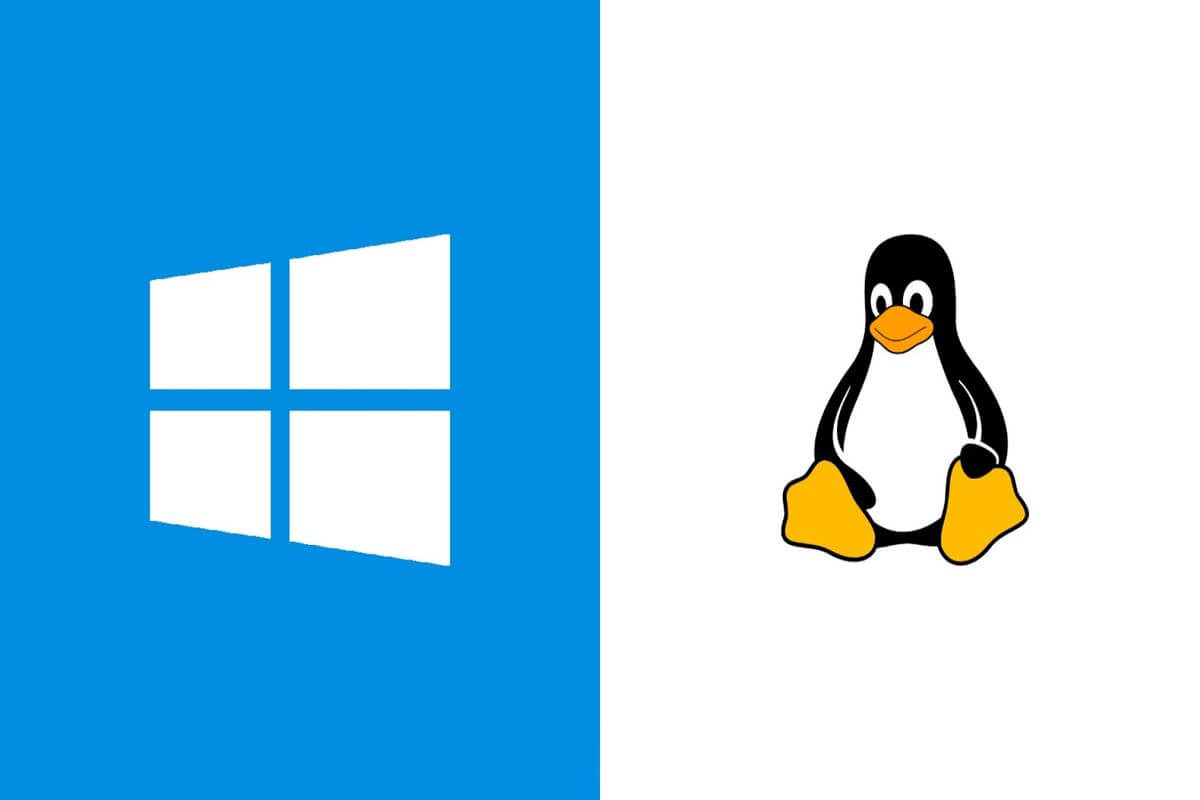 linux&windows